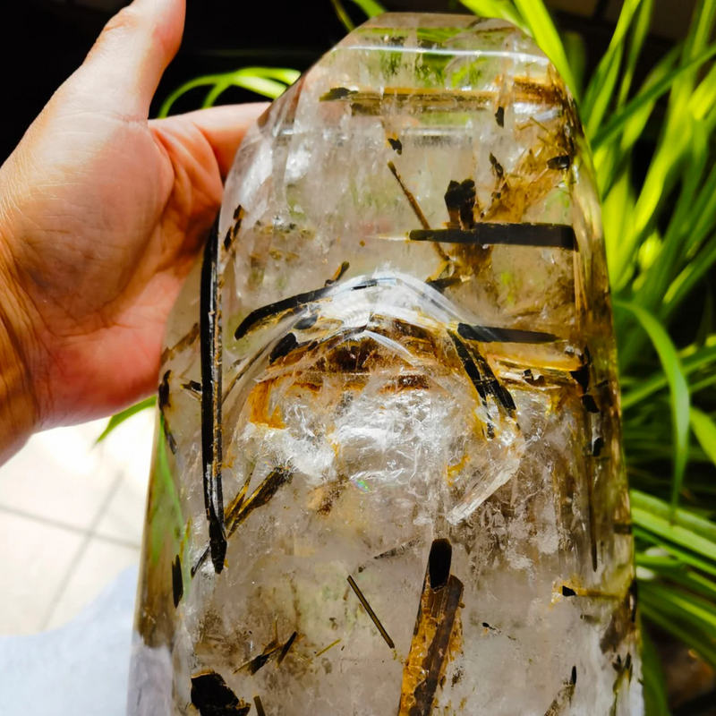 Giant Tibetan High Altitude Clear Tourmalated Crystal Quartz Healing Reiki Energy Spiritual - Demon of Nepal