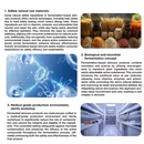 Organic fermented skincare, Rose Facial Mask Sheet, moisturizing korean skincare