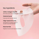 Overnight Hydrogel Mask for Glassy Glowy Skin, Pore Minimizing, Elasticity Improvement,