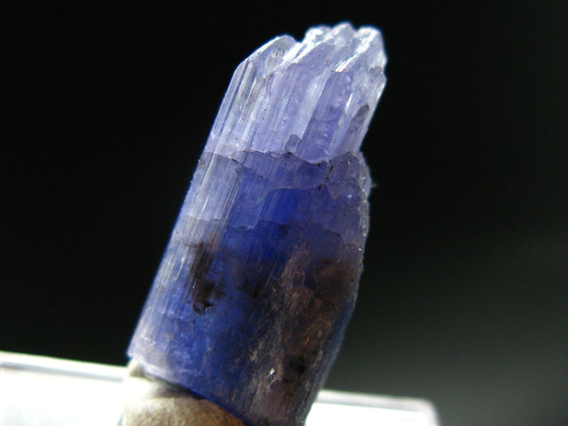 Fine Gem Tanzanite Zoisite Crystal From Tanzania - 26.5 Carats - 1.0"