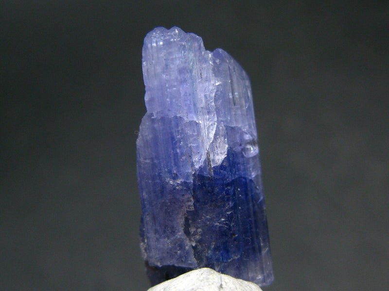 Fine Gem Tanzanite Zoisite Crystal From Tanzania - 26.5 Carats - 1.0"