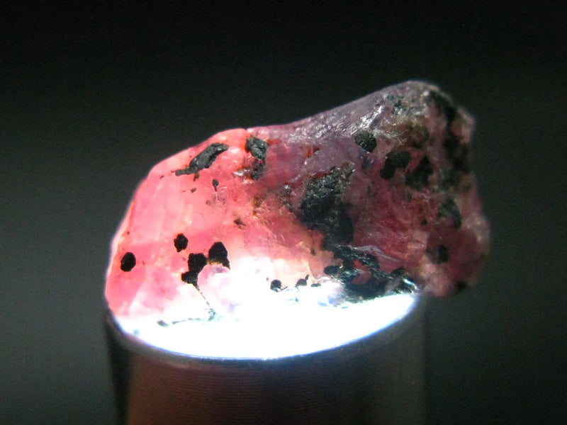 Ruby Crystal from Winza Tanzania - 0.6" - 14.25 Carats